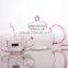 Tea tureen heat-resistant glass tea cup and saucer set in box with Shanghai CHIKAO