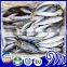 Frozen Yellowtail Scad whole round