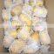 Fresh Potato Chip are Hot Selling From Shandong Factory