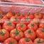 Fresh Vegetables Fresh Tomato