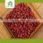import export business opportunity red kidney beans import