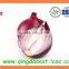 Export china Fresh new crop red and yellow onion