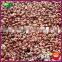2015 New Crop Yanshan Harvesting Chinese Fresh Chestnuts