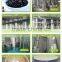 GMP Manufacturer Supply Antioxidant Keepling Slim Natural Acai Berry Extract
