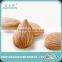 Organic Apricot Kernel Seeds
