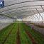 large Prefabricated solar greenhouse film
