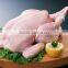 OULENO Injection of chicken and pork fish with brine injection machine sausage casing