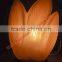 CRAFTED CRYSTAL SALT LAMPS