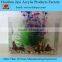 Hot selling aquarium tank fish