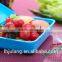 Eco-friendly Plastic Child Rectangle Shape Lunch Box