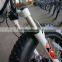 2016 top seller high speed 20 inches electric folding fat tire bike hasky bike