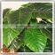 Wholsale China plastiac potted tree indoor decoration artificial green tree fake indoor green tree