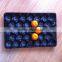 39*59 cm Plastic PP Alveolar Fruit Packing Tray