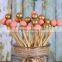White Long Lollipop Candy Sucker Sticks