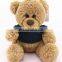 custom cute mini plush teddy bear with t shirt for sublimation for company sourvenirs