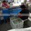 5400pcs/h egg grader with printer/egg sorting printing machine