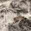 Double Sided Silky Soft Cuddly And Cozy Faux Fur Throw Blanket
