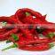 Premium Quality Of Kashmir Red Chilli Powde For Bulk Suppliers