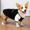 Winter And Autumn Animal Clothing for Small and Medium-sized Dogs Baseball Corgi Pet Clothes Sports Warm Cloth