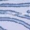 Protista slides , algae slides ,fungi slides