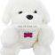 Best Selling Dog Bone Multicolor Pet Identity Card
