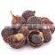 Natural soap seeds from Vietnam