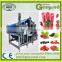 Belt press machine for apple / pear/ carrot /pineapple