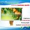 9.0 inch TFT LCD module TFT module with RGB interface and high resolution