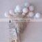 led christmas wedding party holiday outdoor indoor light led battery light-Dragon Ball