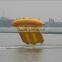 Fly Fish Water Game/Surfing fish/FLYFISH/Inflatable game