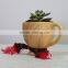 Design Cute Garden Decoration Small Resin Plant Nursery Pot