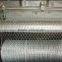 Hexagonal Wire Netting(Electro galvanized/Hot-dipped galvanized)