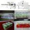 horicontal pillow type semi automatic packing machine