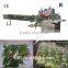 Fresh Vegetable And Fruit Packaging Machinery