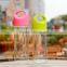 Hight quality BPA free glass water bottles with custom Logo