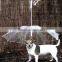 Portable pet rain umbrella / pet dog umbrella / umbrellas for dog