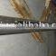 ASTM B381 GR2 Titanium Shaft