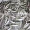 Frozen IQF 8-10pcs/kg Horse mackerel for sale