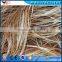 Automatic banana fiber extracting machine Canada