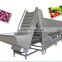 vegetable fruit sorter/fruit Vegetable sorting machine/vegetable fruit picking machine