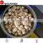 Bulk Frozen Peeled Chestnuts for sale