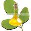 100% Organic Moringa Oil For Bulk Supply