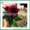 Price Chrysanthemum Cut Flower