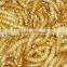 mealworms