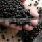 Selling Black Pepper Import Vietnam at Cheap Price