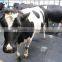manufacture high density 180cm*122cm 1m*1m COW/HORSE EVA FLOOR MAT