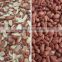 ZRWS CCD Peanut Color Sorter/Excellent Quality Sorting Machine