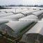 PE film greenhouse