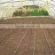 High quality tunnel greenhouse for tomato plants