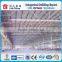 Top Build light steels structure frame safe and solid warm boiler chicken poultry house with feed system